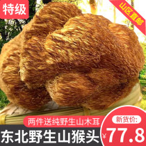 Hericium erinaceus dried goods northeast specialty wild mountain hericium can beat powder new goods sulfur-free edible stomach nourishing bacteria 500g