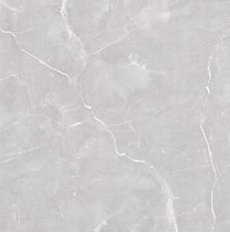 Bauhinia flower this price is the deposit details to the store to consult