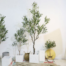 Simulated plant olive tree potted living room man-made large decorative tree ornaments bionic green plant fake bonsai