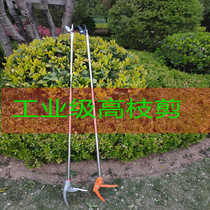 High branch shears pruning shears stainless steel scissors fruit branches scissors garden sparse flower fruit scissors high altitude cut high branch flower scissors
