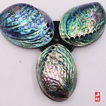 Abalone shell smoked sage utensils fish tank ornaments storage jewelry shooting props lacquer inlay material