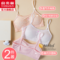Development period small vest underwear female student girl bra girl primary school child girl without steel ring girl underwear
