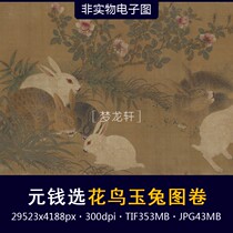 Money selection flower and bird Jade Rabbit picture scroll Yuan Dynasty Chinese painting meticulal animal flower and bird painting high-definition electronic picture material