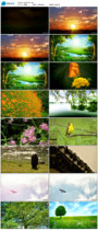 Recite LED video background Zhu Ziqing spring