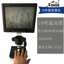 Shanghais new Xindi portable XW880 ultra-high-definition black and white peripheral vascular observation miniature circulation detector