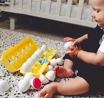 Exercise hands-on ability baby simulation egg shape matching toys 1-3 years old color cognitive teaching aids 12 sets