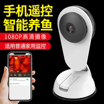 Take pictures of the new Sensen smart little carp AQ810 monitoring fish tank aquarium with high-definition fish camera