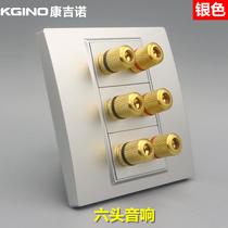 Three-position six-head audio socket Silver 86 type wall concealed household 6-terminal audio 6-head speaker panel