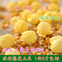 New goods farmhouse spherical popcorn small corn grain 2500g American ball bean round popcorn raw material