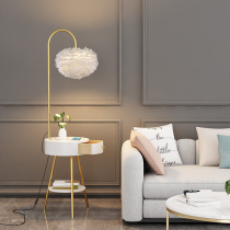 Feather floor lamp Nordic living room bedroom Net red light luxury drawer sofa side several bedside table table lamp