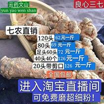 Yunnan Wenshan spring three seven without cut mouth 20 head 30 head 40 Head 60 head 80 head 120 head field seven 500 grams can grind powder