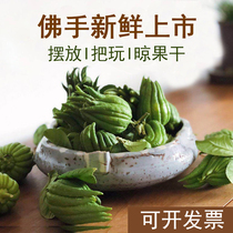 (Small Bergamot)Pocket mini Bergamot Qing for playing and smelling incense Jinhua Bergamot small fruit Zhejiang specialty