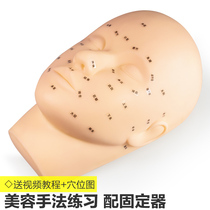 Beauty salon beauty head Model Practice washing face massage acupoint model head dummy head model doll teaching head bald head