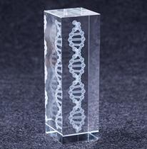 K9 crystal laser carving three-dimensional crystal medical aids human DNA gene system anatomy crafts ornaments