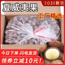 Macadamia nut cream flavor whole box 5 kg summer fruit bulk dried fruit 10 kg original flavor no added pregnant snacks
