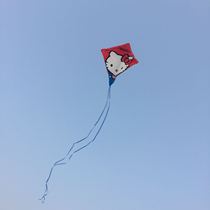 All with line professional children kite outdoor sports toys easy to fly 0 basic easy fly portable kite Aisha
