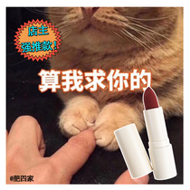 Spot sunnies face Philippine matte cream white tube Lipstick Lipstick Lipstick Matte Lip Glaze colored lipstick