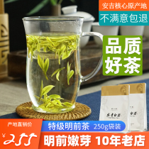 2021 New Anji white tea authentic Alpine Tea rare spring tea bulk Mingchen tea Super 250g bag