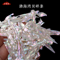 Bohai Bay Shell Shredded Fragments Shell Sheet Lacquered Art Lacquer Painting Guqin Snail Platinum Inlaid Material Medecal Decoration Diy