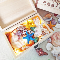 Natural Shell Sea Snail Sea Star Suit Wooden Box Gift Box Dress Wedding Photo Decoration Creative Birthday Gift Gift