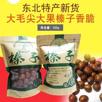 The new northeast Liaoning Zeng second dick big hair tip big fruit hazelnut dried crispy open original baked cooked order 3 pounds