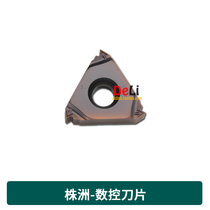  Zhuzhou threaded blade CNC blade RT16 01N-1 5GMPB 2 0GMPB AG60PB YBG205