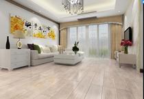 Del laminate flooring --- DN4005