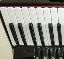 (Tao Sheng Qin Yun)accordion accessories manufacturers direct supply 48~120 bass accordion keyboard white key black key