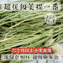 Super-class American Timothy grass beauty mentioning a multi-pole molars adult small pet rabbit guinea pig chinchin