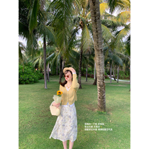 Lady Chestnut Mouse (sandwich faction) fake two v collar knit cardiovert early spring break with undershirt blouse