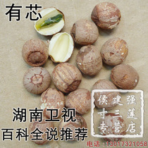 2021 core red lotus seed fourteen years of quality such as Hunan Lotus with red skin containing lotus seed core micro bitter 500 grams