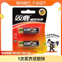 Shuanglu alkaline No. 5 battery 2 PCs No. 5 AA toy remote control camera mouse etc.