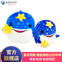 (Haichang Ocean Park official flagship store souvenir)Star with the same whale shark elastic doll medium