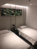  Cozi Hotel (Tsuen Wan Branch)Standard Twin Room