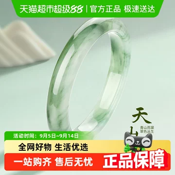 天山冰翠 天山翠バングル(小) 新疆産 天山翠雪翠 金糸玉 翡翠色 半山水双耳掛翠 55.2 天然石