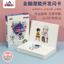 Duluzhi flash card professional card childrens educational potential development professional work cognitive concentration training card