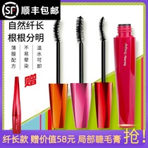 Japanese DEJAVU Dai Jiabi mascara female waterproof slender curl thick non-syncopated long-lasting encryption