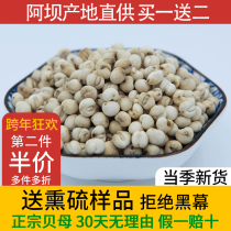 Sichuan Aba Sichuan Fritillaria herbal medicine non-pine shell powder wild delivery loquat leaf 50g farm 21 years new goods