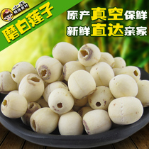 New farm Xiang lotus seed to the core grinding white lotus seed dry goods through the core heartless grinding lotus seed inch three lotus