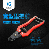 Citrus fruit picking navel orange fruit cutting nest type apple fruit cutting nest fruit cutting fruit cutting fruit cutting fruit cutting fruit cutting fruit cutting