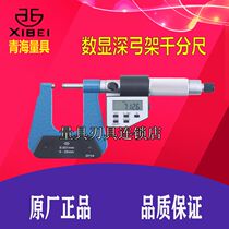 Green electronic digital display deep bow micrometer 0-25*50 100 150 300mm 0 001