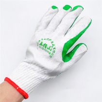 Five Fingers Mountain Film Gloves Cotton Yarn Knit Single-sided Gluing Anti-slip and abrasion-proof and oil stain resistant glove