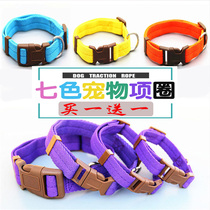 Dog collar (buy one get one free) small dog cat anti-strangulation ring medium and large teddy bear golden hair supplies
