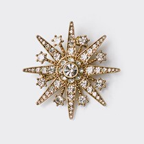 Brother Amarshi official website 2021 new domestic eight Mang star brooch ins tide personality accessories female