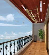 Opel integrated ceiling balcony boutique series gusset of pear blossom rhyme