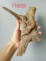 Handle Beitaihang cliff cypress practice hand wool material aging black oil tumor scar Tiger skin pattern Hand string log root carving