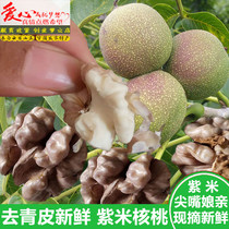 Fresh and wet walnuts are freshly picked from Yunnan sharp-mouthed mother purple rice walnut.