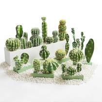 Simulation cactus fake cactus column decorative ball desktop tropical desert green plant ornaments trumpet Creative Landscaping
