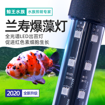 Lanshou goldfish special fish tank lamp led lamp Waterproof full spectrum super bright explosion algae lamp Moss diving lamp lighting lamp