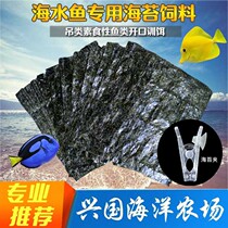 Sea fish Seaweed feed Seaweed clip sea vegetables Fish food Hanging angelfish open 20 pieces better than seaweed